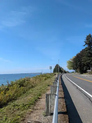 A road running along the shoreline behind a guardrail, the bay on one side and trees ahead.