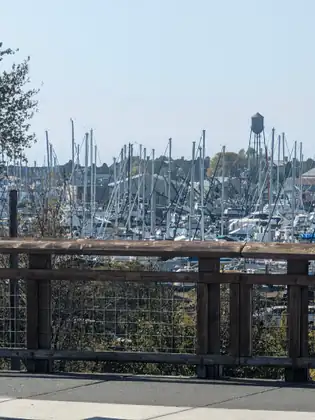 A marina full of masts seen over a wooden rail fence from a paved path, a water tower standing behind the boats.