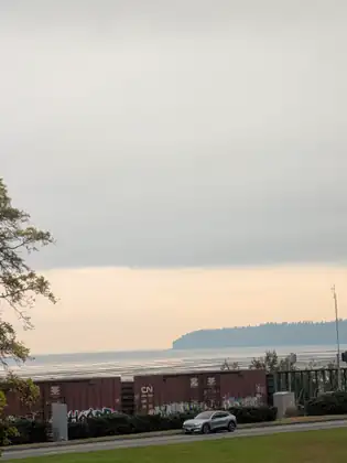 A misty morning over the water at the border, a long line of rust-red freight boxcars with graffiti on them standing on the track along the shore, a road and a white car below, and a wooded headland in the distance.