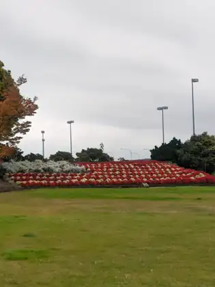 The lawns of the Peace Arch park under a grey sky, a long bed planted in blocks of red and white flowers, and tall lamp posts behind it.