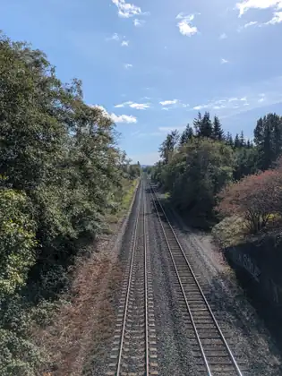 Two railway tracks running straight into the distance between leafy trees, seen from above, a graffitied wall along one side.