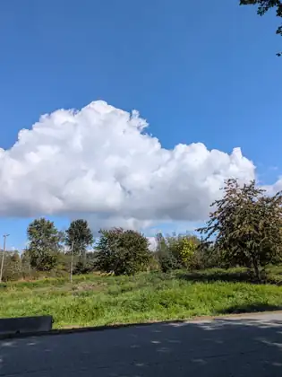 A great heap of white cumulus cloud over a grassy field and scattered trees, the edge of a quiet road in the foreground.