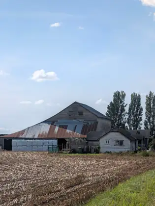 An old weathered barn with a patched, rusting roof beside a white farmhouse, wrapped bales stacked by the barn, a stubble field in front and tall poplars behind.
