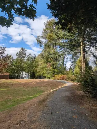 A gravel path curving past a sunny lawn into tall evergreens, a house and a wooden fence across the grass, under a blue sky with white clouds.