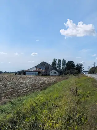 An old barn with a patched, rusting roof and a white farmhouse across a wide stubble field, tall poplars beside them, a grassy bank in the foreground and a road running into the distance on the right.