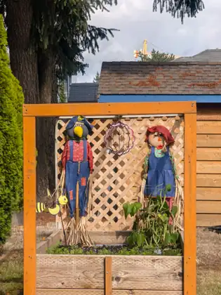 Two scarecrows, a crow in patched dungarees and a girl in a blue pinafore, hanging on a wooden lattice in a garden frame above a raised vegetable bed.