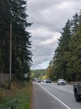 The paved shoulder of a divided highway lined with tall firs, cars and a truck coming the other way under a cloudy sky.