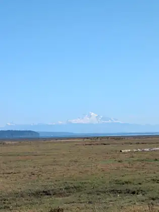 Mount Baker small and white on the far horizon beyond a wide green salt meadow and a stranded log, a wooded point at the left.