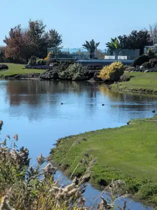 A still pond edged with lawn and planted borders, a few ducks on the water and a modern building with glass railings and palms behind it.