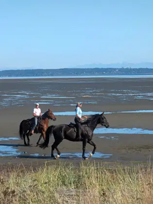 Two riders crossing the wet sand of the bay at low tide, a man in a white shirt on a brown horse and a woman in a light blue shirt on a black horse, the far shore behind them.