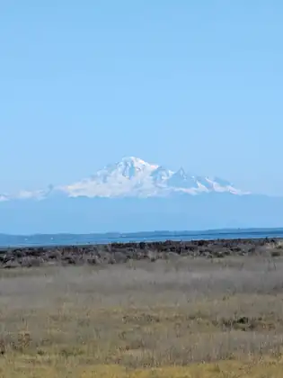 Mount Baker, snow-covered and crisp against a clear sky, rising above the low far shore of the bay, a dark band of salt marsh and pale grasses in front.