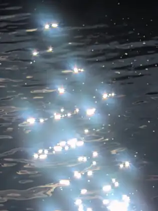 Sunlight breaking into bright starbursts on dark, rippling water, a long glittering streak running up the frame.
