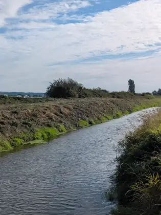 A straight drainage channel running between a freshly cut bank and tall grasses, under a sky streaked with white cloud.