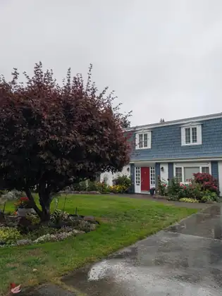 A two-storey house with blue shingle siding, white trim and a red front door, a dark red Japanese maple and flower beds on the lawn and a wet driveway in front, under a grey, rainy sky.