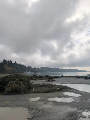 A gravel shore pooled with rain puddles that mirror the clouds, a tangle of shrubs and driftwood by calm water, a wooded headland with houses along its foot, and a pickup parked at the right edge.