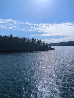 Sunlight glittering on the water beside a dark, tree-covered island, under streaks of white cloud.