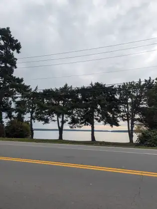 A road with a double yellow line beside a row of trees along the shore, calm water and a low wooded far shore beyond under a grey sky.