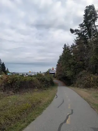 A paved trail with a dashed yellow centre line and patched cracks curving ahead between rough grass and tall evergreens, toward a highway overpass, a billboard and a McDonald's sign under grey cloud.