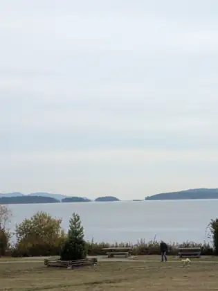 A grassy waterfront park with two picnic tables and a young evergreen in a low timber surround, a man walking a small pale dog along the path, and calm water with low islands beyond under a pale sky.