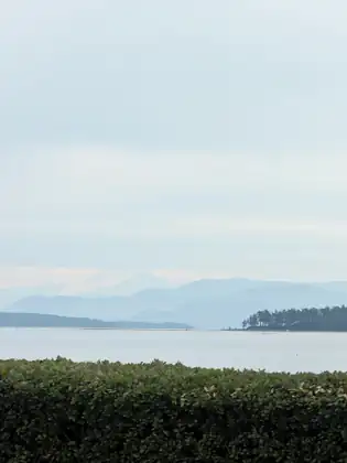 Calm water with low islands and a range of blue hills in the distance, a faint snowy peak behind them and a trimmed hedge in the foreground.