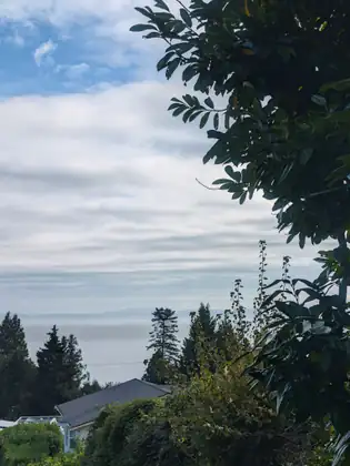 A view past leafy branches, over evergreens and a rooftop, to the sea and distant hills under soft grey cloud with patches of blue.