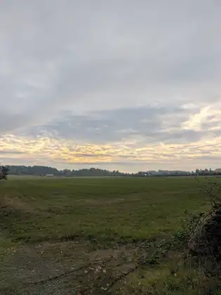 Pale gold light breaking through grey cloud over a wide green field, a line of trees on the horizon.