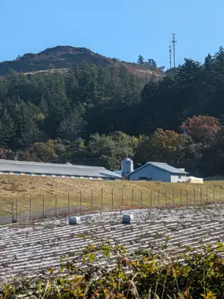 A closer view of the farm: a long, low barn with a row of small windows, a metal silo and a blue barn on a grassy slope behind a wire fence, the white-covered rows in front and a rocky hilltop with two communications towers rising above the trees.
