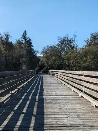 A long wooden bridge with timber railings stretching ahead, the railings’ shadows striped across its weathered deck and trees at the far end under a clear blue sky.