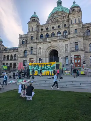 A rally gathers on the front steps of the BC Legislature, where a large 'Protect Old Growth' banner hangs between loudspeakers and microphone stands, painted placards lean on the steps, and a few people sit and crouch on the lawn.