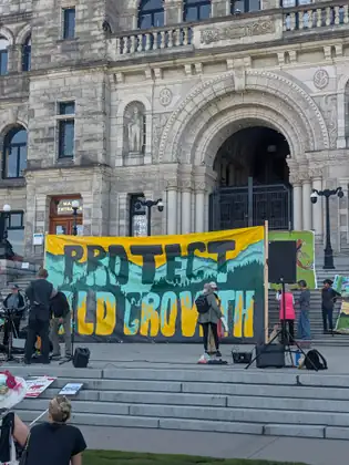 A hand-painted 'Protect Old Growth' banner showing forested mountains stands before the arched main entrance of the BC Legislature, with people, loudspeakers and microphone stands around it.