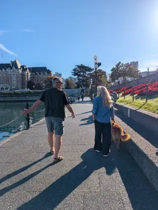 A man in shorts and sandals and a woman with long blonde hair walking a golden-haired dog stroll the Inner Harbour walkway in long morning shadows, past red flower beds on the right and the Empress hotel across the water.