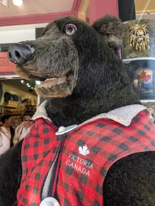 A large stuffed bear figure wearing a red-and-black plaid fleece vest embroidered 'Victoria Canada' stands at a shop entrance.