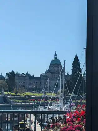 From a railing above the marina, sailboat masts and moored boats lead across the harbour to the green-domed BC Legislature, with red and pink flowers in a planter in the foreground.