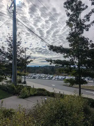 A utility pole and power lines cross a sky of rippled gray and white cloud above a road, a large parking lot packed with cars and distant blue mountains, with young trees and shrubs in the foreground.