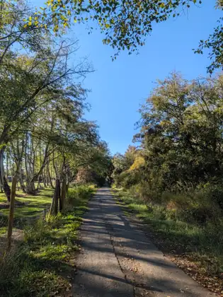 A narrow paved trail runs straight ahead between grassy verges, with a wire fence on wooden posts, a mown lawn and leafy trees beside it under a clear blue sky.