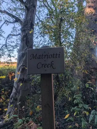 A small wooden sign reading Matriotti Creek stands on a post among trees and undergrowth, with a field glimpsed beyond.