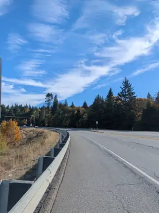 The wide shoulder of a highway curves away beside a metal guardrail, with dark evergreens and an orange-leafed shrub under a blue sky streaked with wispy cloud.