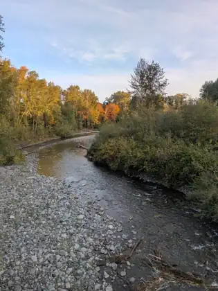 A shallow river curving away between a wide bank of grey stones and dense green shrubs, with tall trees in yellow and orange autumn leaf lit by low sun under a pale sky.