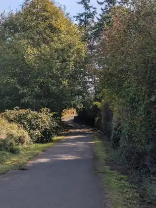 A paved trail runs ahead through a tunnel of leafy trees and tall hedges, with sunlit grass along its edges and a glimpse of open ground at the far end.