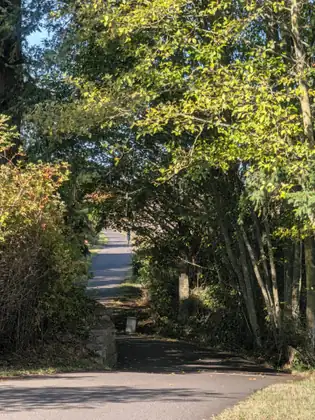 A paved trail climbs away under an arch of sunlit leaves, past a low stacked-stone wall and a short white post, with a lone figure far up the path.
