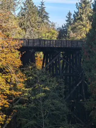 A tall dark timber trestle bridge with a slatted railing crosses high above a wooded ravine, framed by trees in orange, yellow and green leaf.