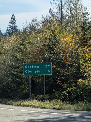 A green highway distance sign reading Shelton 77, Olympia 96, standing on two posts in front of a bank of trees turning yellow and orange.
