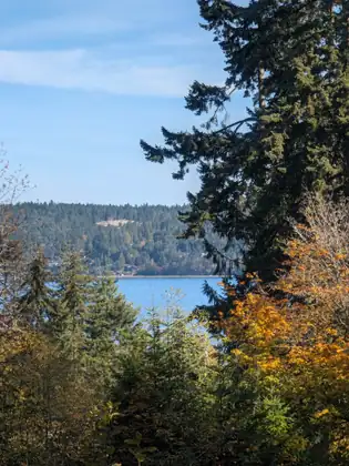A stretch of calm blue water seen between a tall dark conifer and trees in orange leaf, with a forested far shore under a pale blue sky.