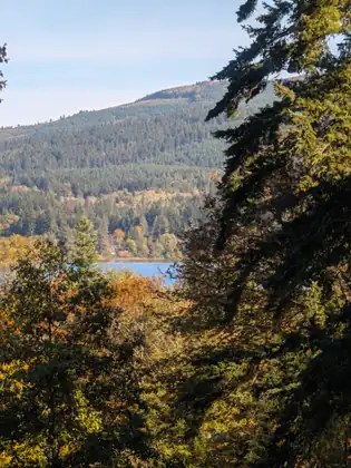 A glimpse of blue water at the foot of a forested hill, seen through a gap between a dark conifer and trees in green, yellow and orange leaf.