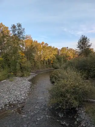 A shallow river channel stretches away between a bar of gray stones on the left and a large, dense shrub on the right, with driftwood sticks in the foreground and tall trees in yellow and orange leaf under a pale blue sky.