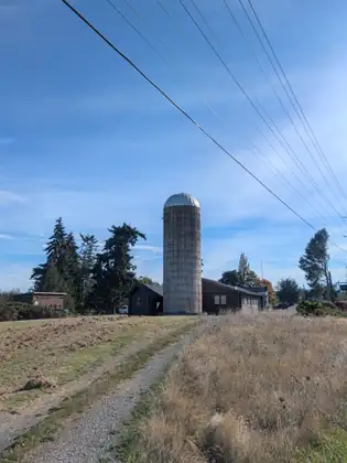 A tall weathered silo with a silver domed cap stands between low log-sided buildings, power lines slanting across a blue sky above a gravel track through dry grass.