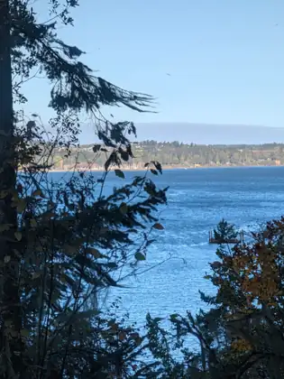 Bright blue water stretches across to a far shore of wooded hills, houses and a cluster of white boat masts, framed by dark overhanging branches, with a small float out on the water.