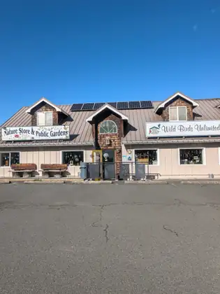 A long shop with shingled dormers, a metal roof and solar panels, signed Nature Store & Public Gardens on the left and Wild Birds Unlimited on the right, with log benches outside and an empty car park in front.