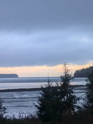 A band of pale orange light along the horizon beneath heavy grey cloud, with dark wooded headlands at either side of the bay, wet flats in front and the silhouettes of young conifers in the foreground.