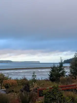 Heavy grey cloud above a pale strip of sky over the bay, with a long wooded headland, wet flats, young conifers and autumn shrubs, and a red-framed panel of black cut metal half hidden by leaves in the foreground.